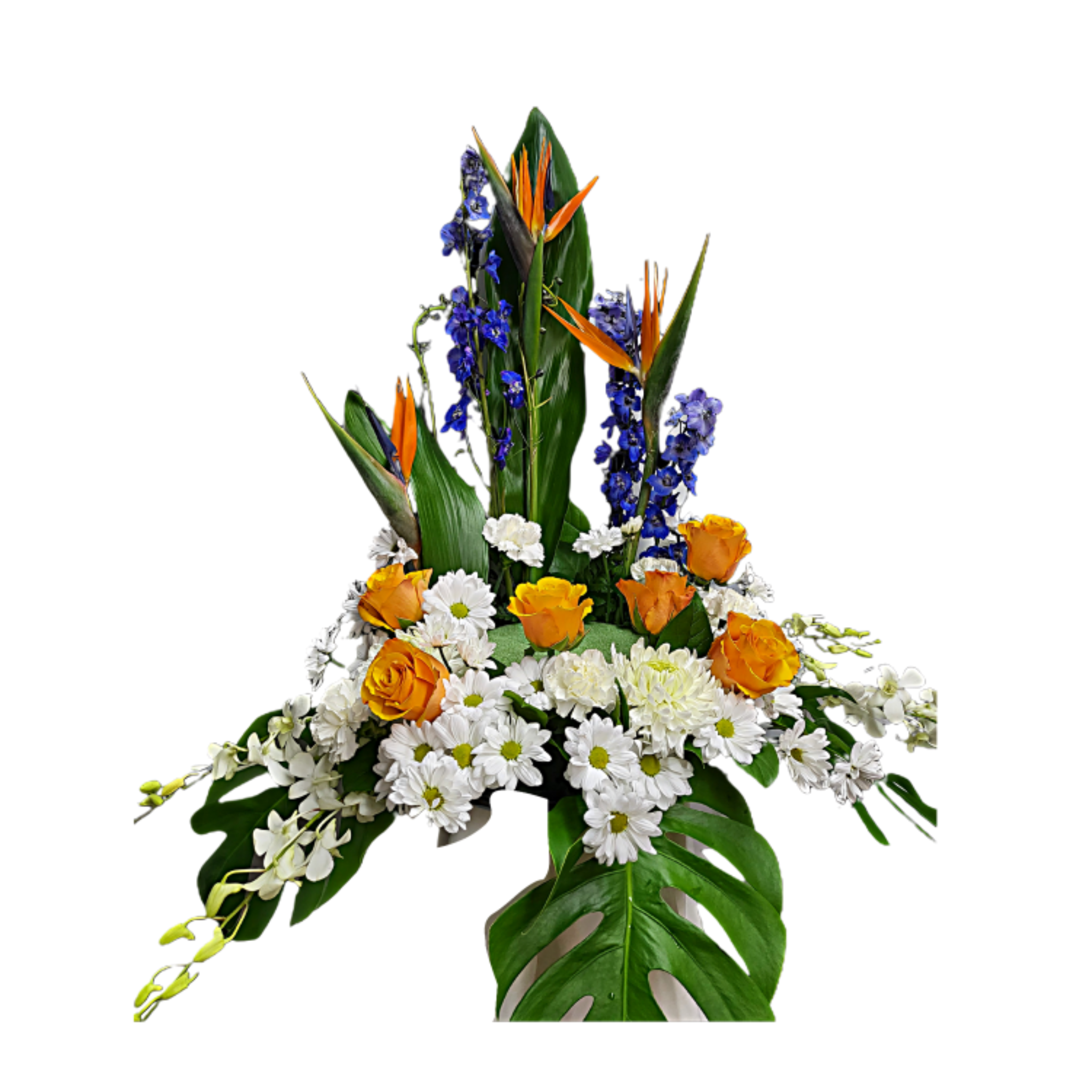 Base d’Urne avec Oiseaux de Paradis et Marguerites – Hommage Tropical – Référence 24CU201