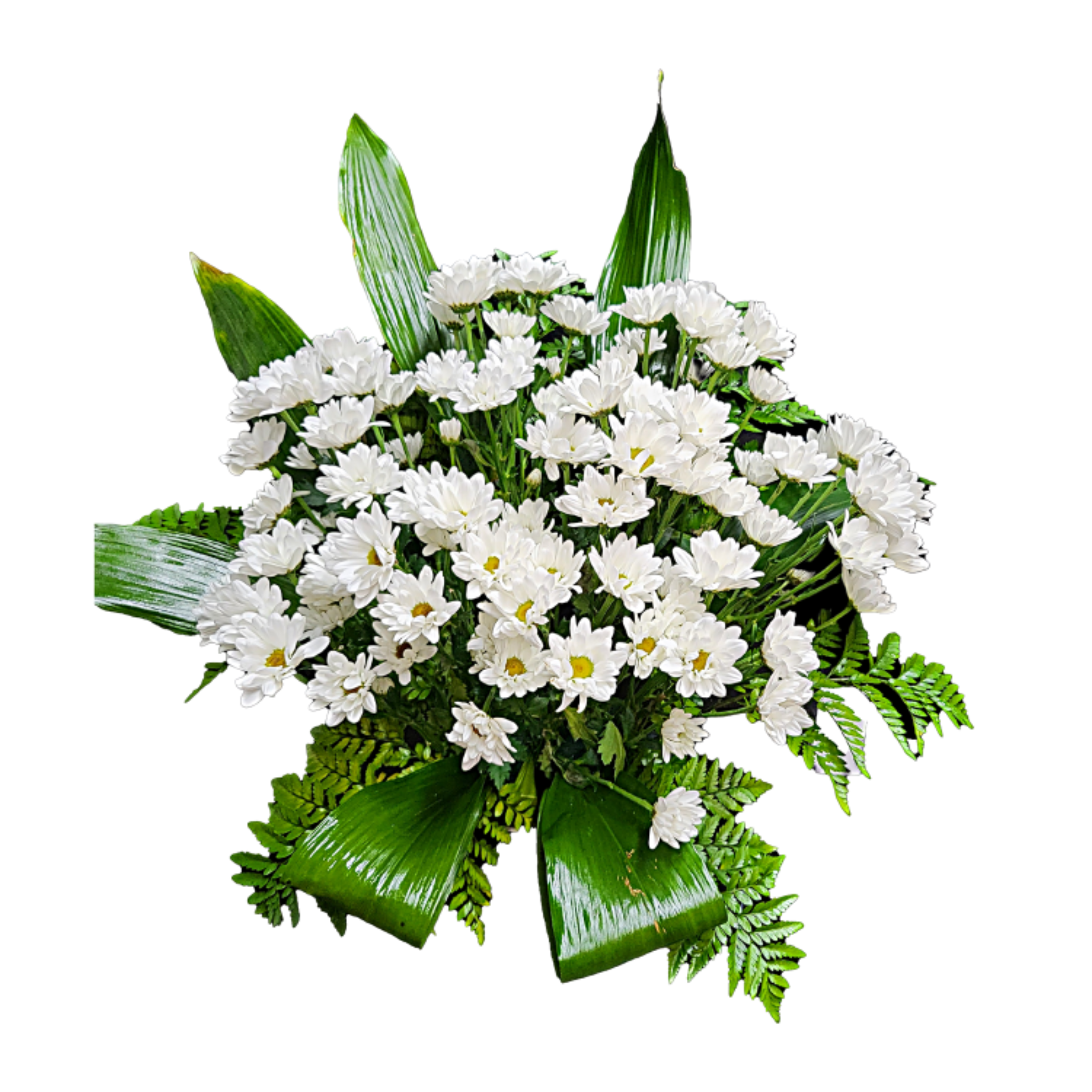 Gerbe Florale Blanche pour un Hommage Pur et Élégant – Explosion de Marguerites - Référence 24C411