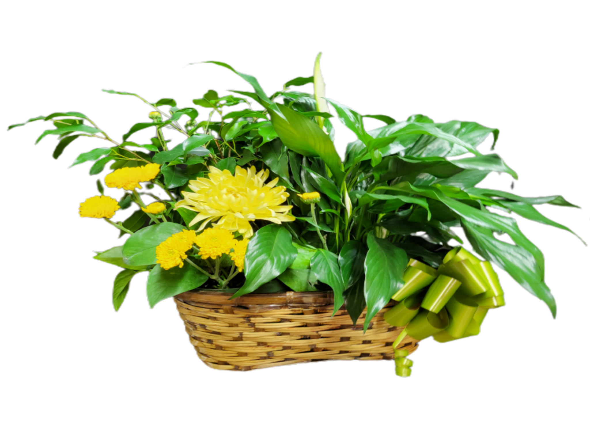Jardin Soleil – Plantes Vertes et Fleurs Jaunes en Panier d’Osier – Référence RDF-23P02