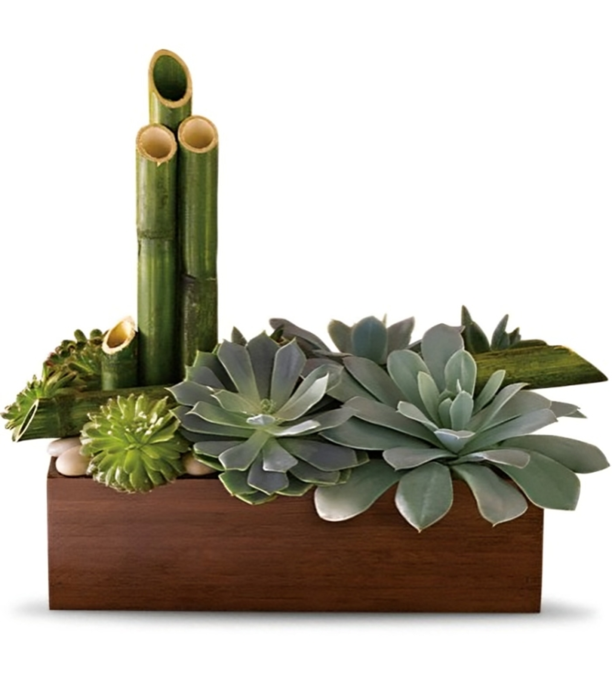 Jardin Zen en Vase – Référence T101-1A