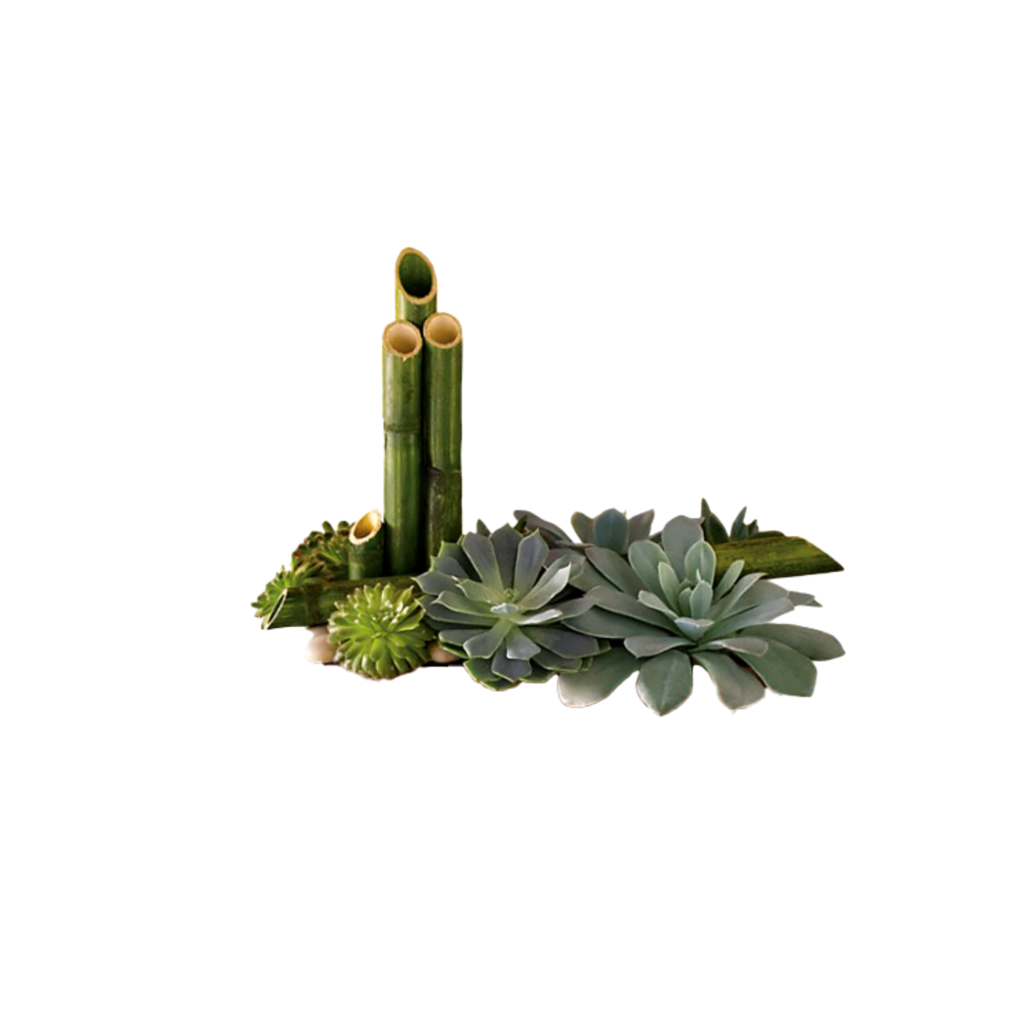 Jardin Zen en Vase – Référence T101-1A