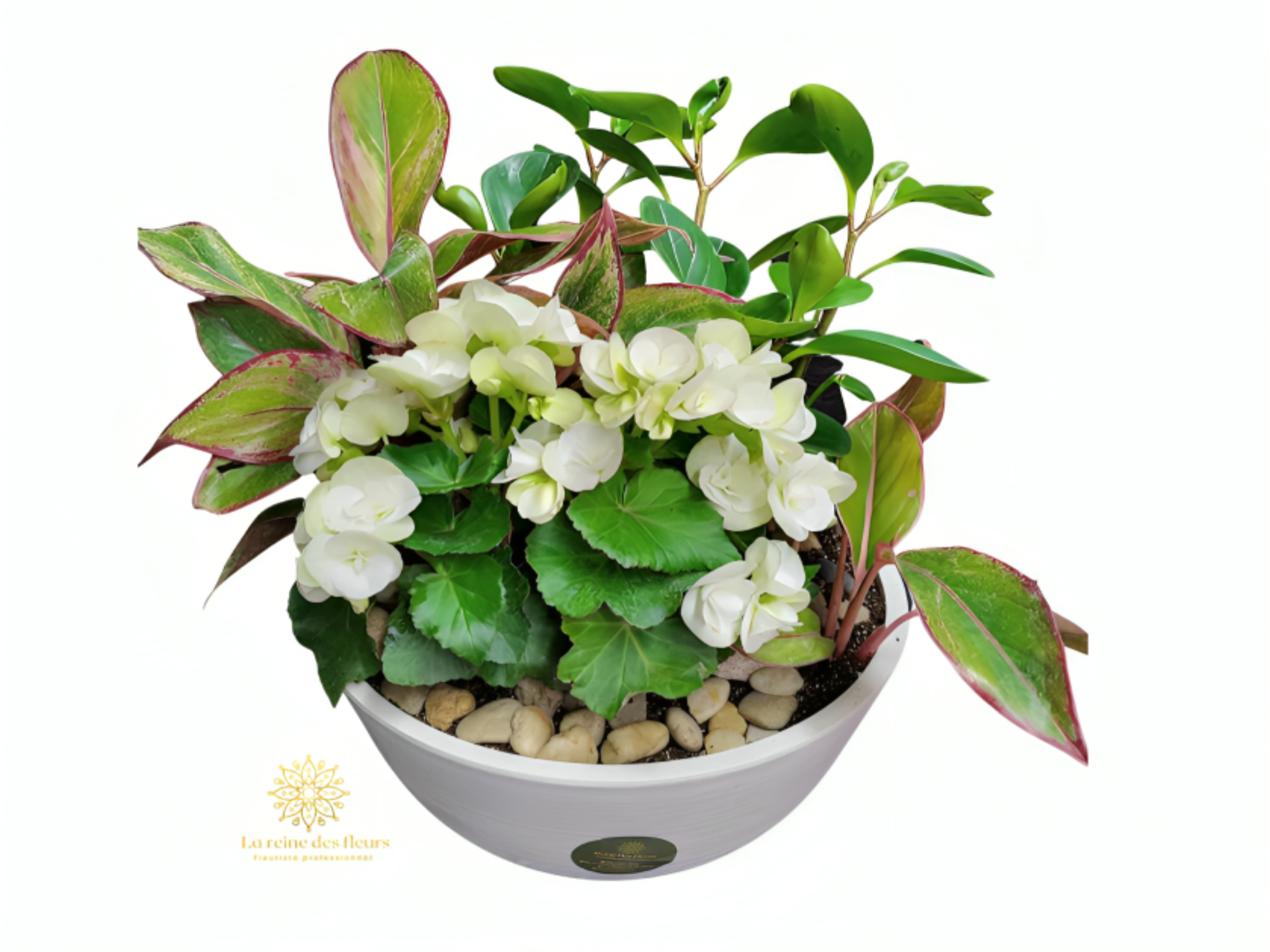 Jardin d’intérieur – Élégance et Verdure Durable – Référence 22P10