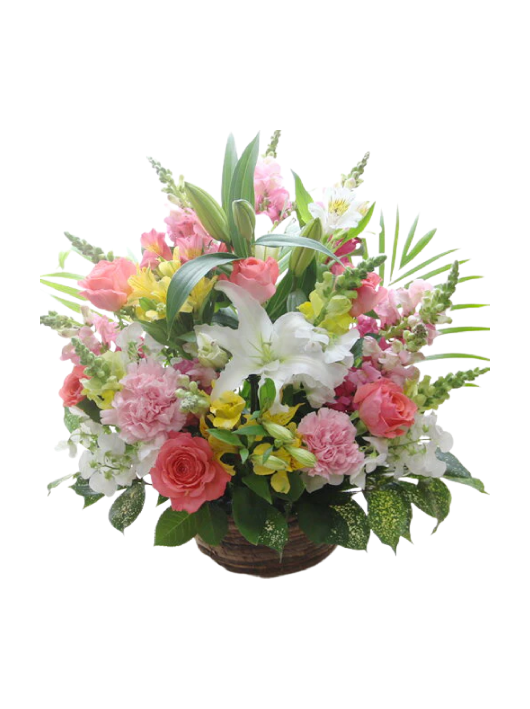 Nos Bouquets