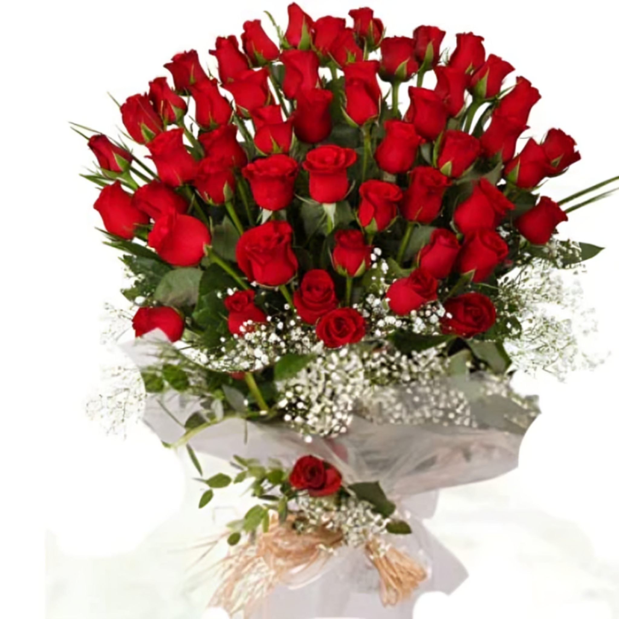 Symphonie d'Amour – 48 Roses Rouges – Référence 500