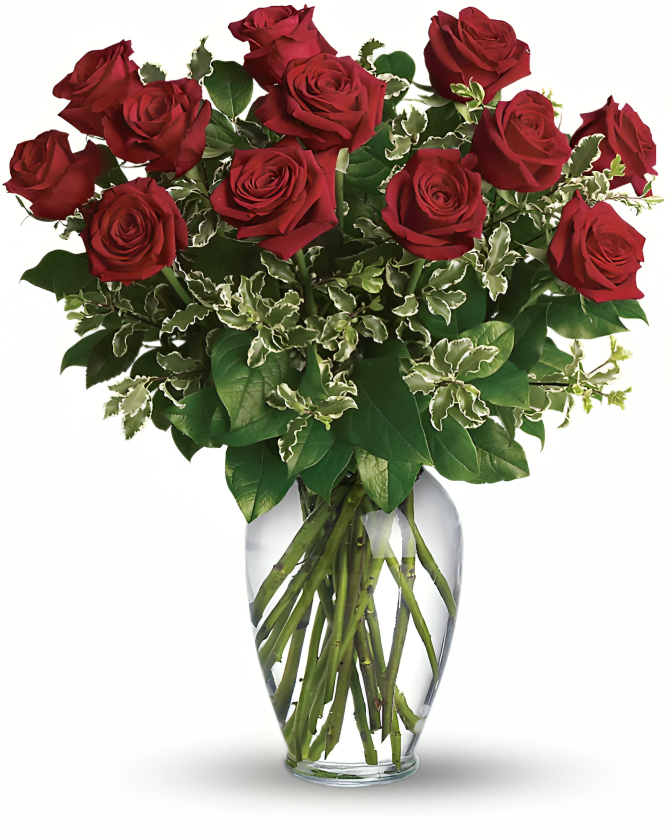 Toujours Dans Ma Tête – Référence Douze Roses Rouges à Longues Tiges  