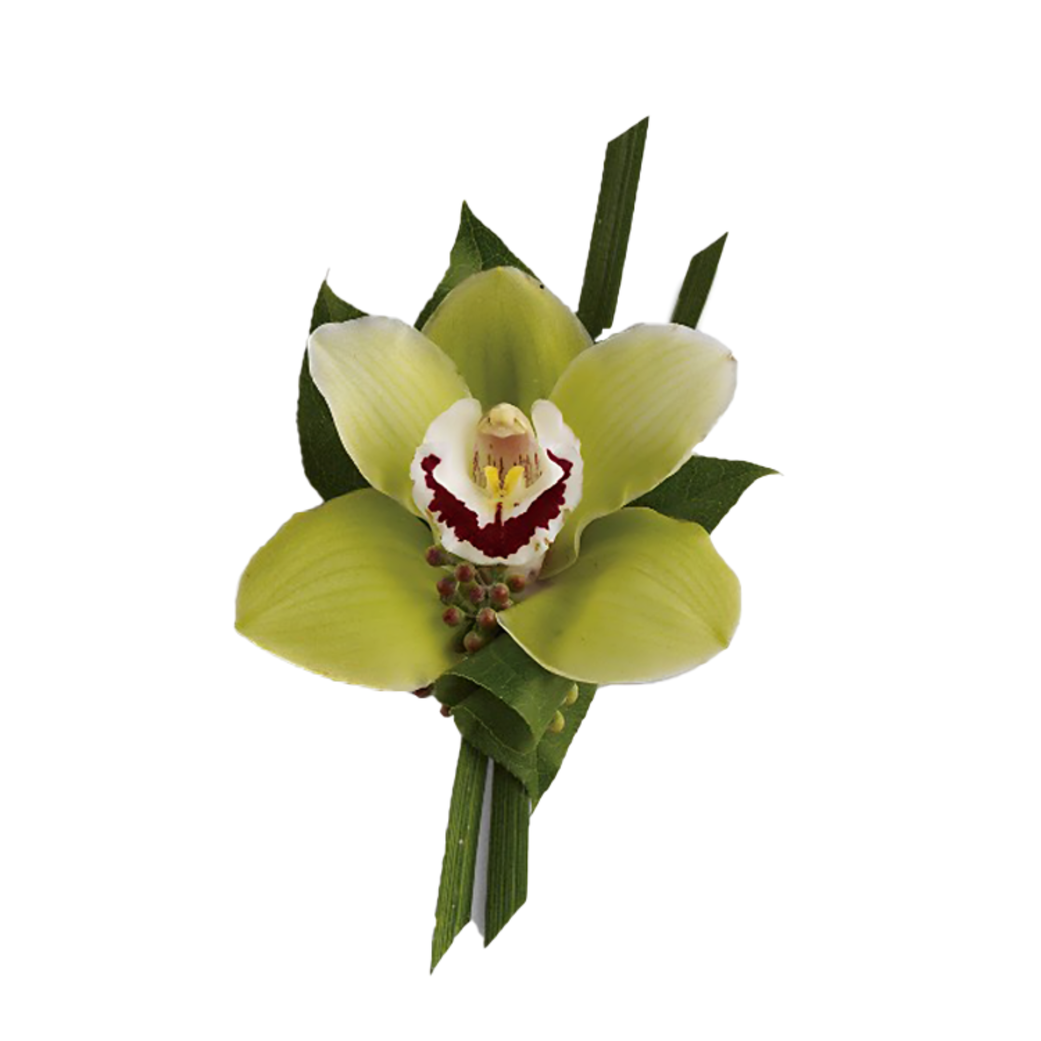 Élégance Naturelle – Boutonnière Cymbidium Vert pour Mariage & Événements – Référence T202-3A 